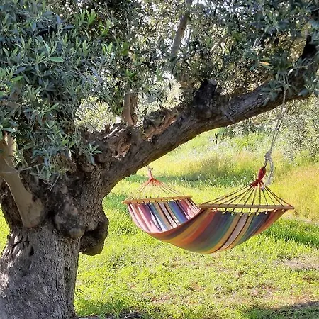 Sea Nature Wellness * كولومبيا